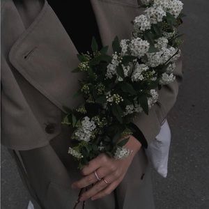 Meet your Posher, Rana